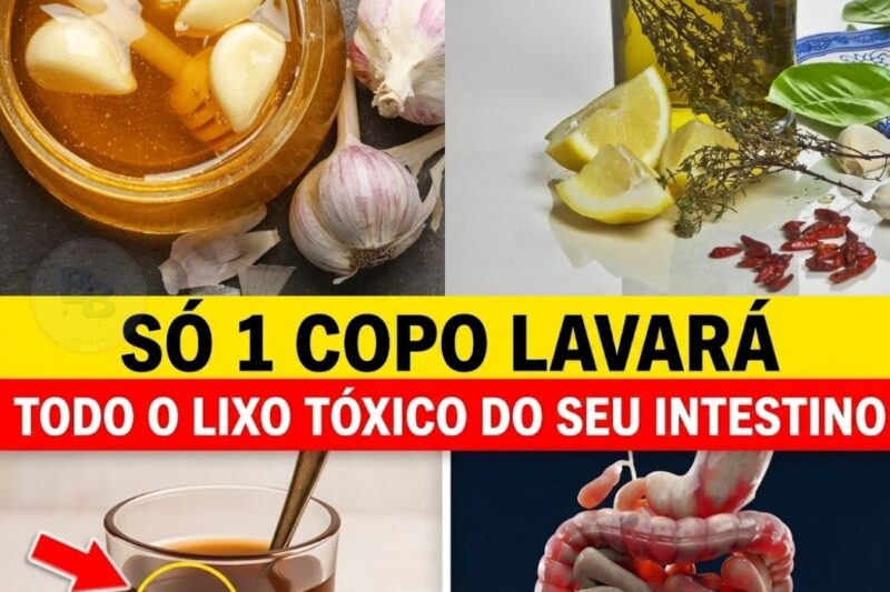 O PODER DE LIMPEZA DA NOITE: UMA ANÁLISE DA REGENERAÇÃO INTESTINAL NATURAL NA VELHICE
