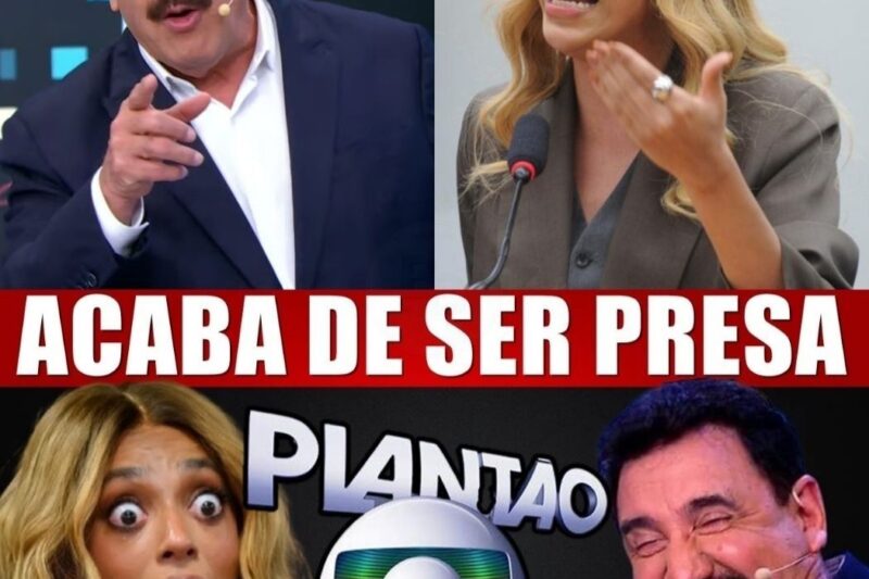 O ECLIPSE DA POLÍTICA BRASILEIRA: O EMBATE EXPLOSIVO ENTRE RATINHO E ERIKA HILTON QUE PARALISOU O PAÍS