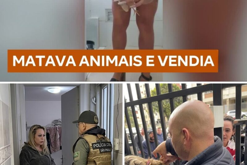 SANGUE E EUROS: Empresária de SP torturava e ESMAGAVA filhotes vivos para vender na Deep Web e já está SOLTA!
