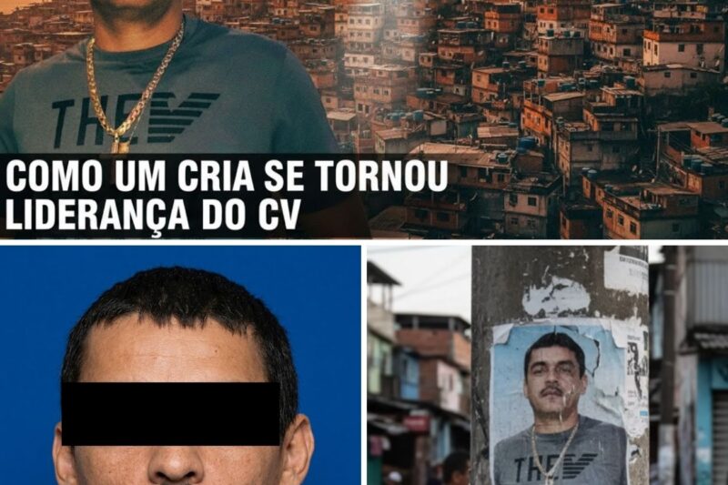 DO INTERIOR AO TOPO DO CRIME: A caçada implacável ao “Urso da Penha” que parou o Rio de Janeiro e desafiou as autoridades