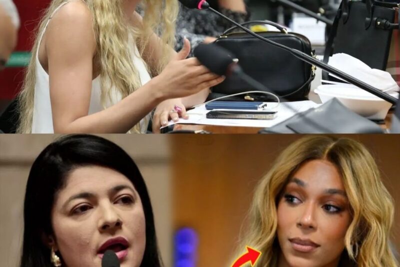 VEREADORA PARTE A PACIÊNCIA A LAVA A ALMA DO BRASILEIRO E FAZ ERIKA HILTON PASSAR VERGONHA “
