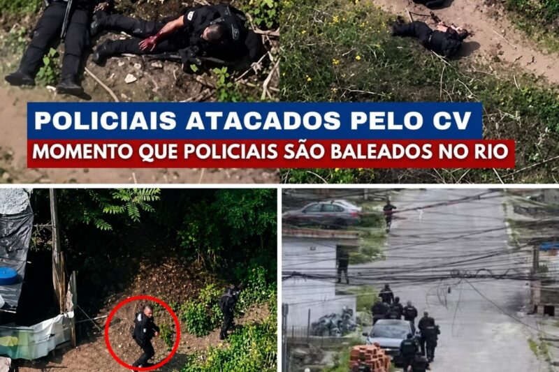 TRAGÉDIA E EMBOSCADA NA VEGETAÇÃO: Policiais Caem em Armadilha Sob Fogo Cruzado e Agente com Apenas 40 Dias de Carreira é MORTO em Combate Brutal!