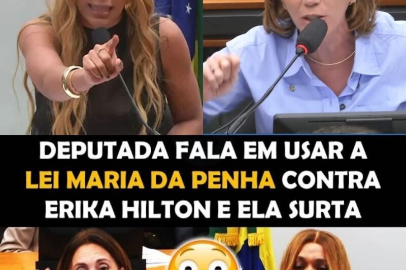 Discussão e Gritaria na Comissão de Defesa dos Direitos da Mulher: Escalada de Conflitos e Ataques Verbalmente Violentos
