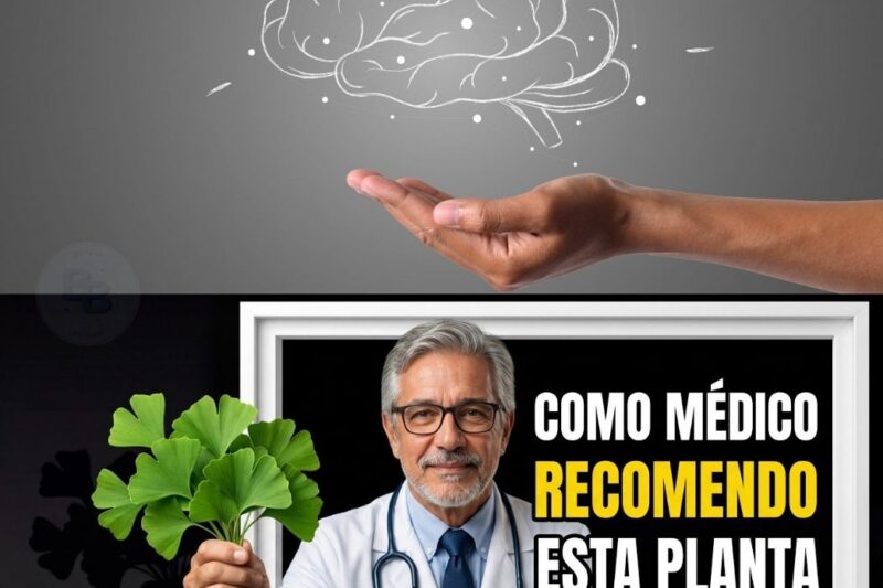 ALERTA NA NEUROCIÊNCIA: O Fim do Alzheimer? Conheça as 6 Plantas Secretas Capazes de RECONSTRUIR o Cérebro e Resgatar a Memória Após os 60 Anos!