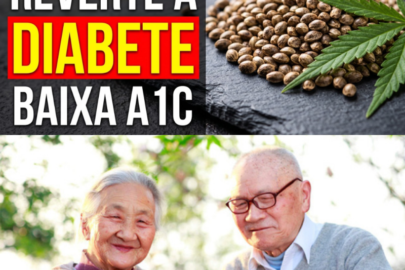 Descubra! As Top 7 Sementes Que Todo Idoso Deve Comer Antes de Dormir Para Baixar o Açúcar no Sangue