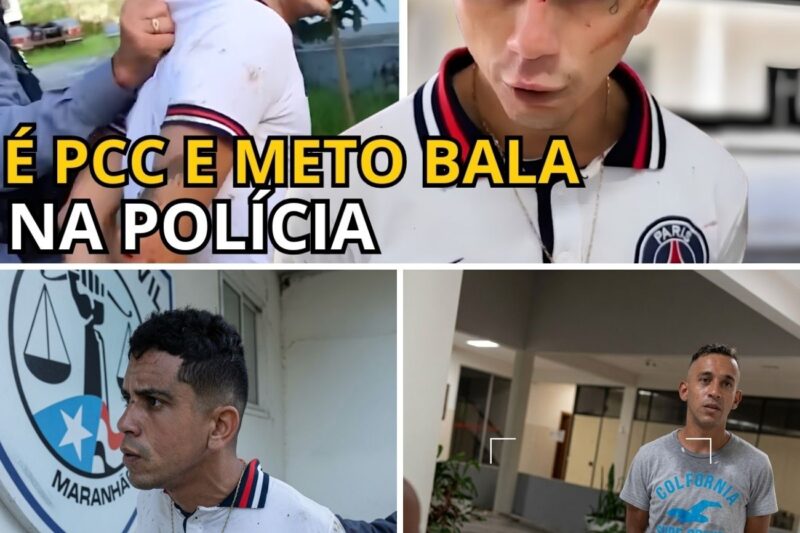 “VOU CONTINUAR MAT*ND0”: Réus declaram guerra ao Estado, desafiam magistrados e geram pânico ao anular julgamentos diante das câmeras