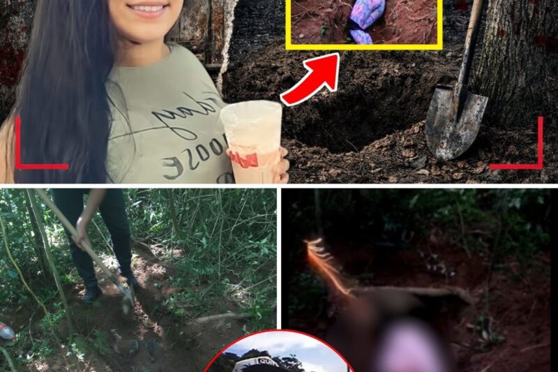 A Ilusão do Controle: Como um Relacionamento de Grade e Medo Selou o Destino de Paola Correia