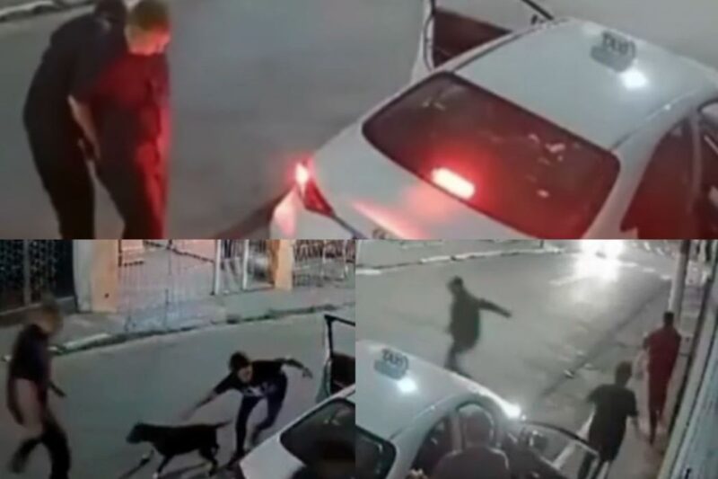 A Fúria de um Pitbull: Como um Cão Salvou uma Família de um Assalto Violento!