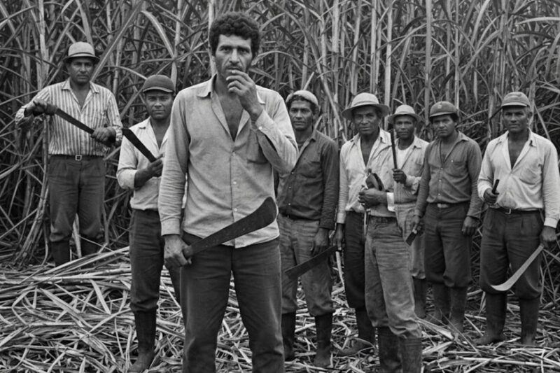 O MISTÉRIO dos 11 Cortadores de Cana Que NUNCA Voltaram do Vale Paranapanema,Interior São Paulo,1985