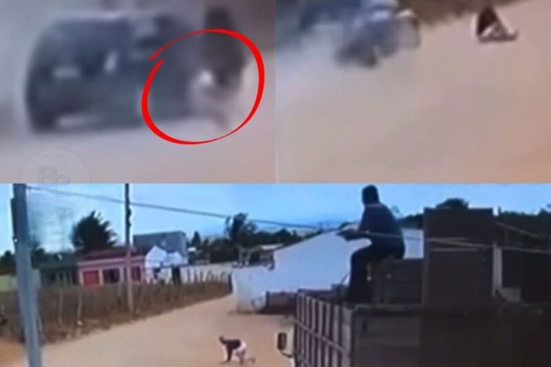 BALAS NA RODOVIA: Caminhoneiro reage a assalto, “prega fogo” em bandidos e vídeo de justiceiro incendeia o Brasil