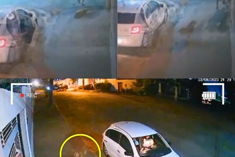 “FALOU QUE IA MORDER MINHA FILHA E EU REAGI NA HORA”: pai policial mata cão agressivo em defesa da bebê e caso divide o Brasil em debate explosivo