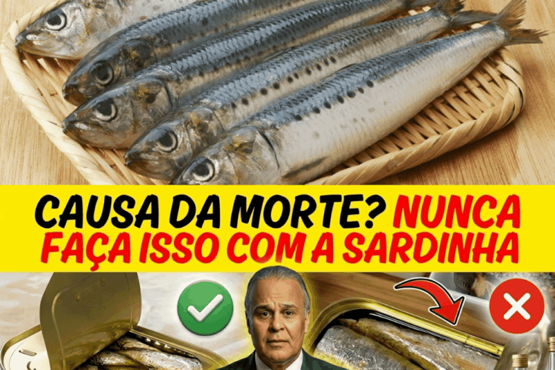Os Erros Destrutivos Que 98% Dos Idosos Cometem Ao Comer Sardinha E Como Esse Peixe Barato Pode Salvar Suas Artérias E Coração