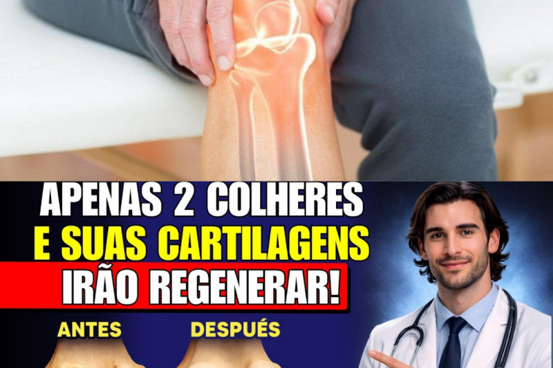 O Escândalo Da Regeneração Em 24 Horas: A Farsa Que Alimenta A Indústria Dos Milagres E O Verdadeiro Caminho Científico Para Salvar Os Seus Joelhos