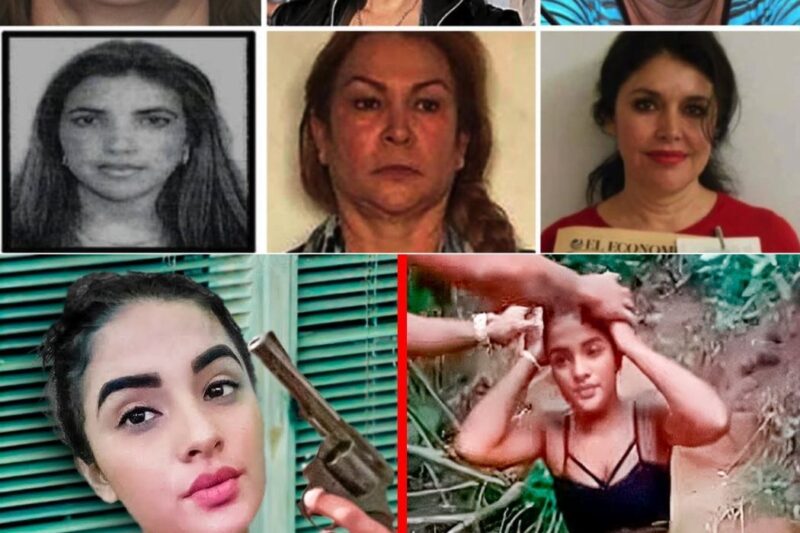 De execuções gravadas e espalhadas como troféus a perseguições implacáveis, a vida de mulheres ligadas ao tráfico é marcada por uma violência sem precedentes e sem volta. O que acontece quando o poder, o ciúme e a guerra de facções colidem com a vida pessoal? A resposta é frequentemente letal. Descubra os casos reais que chocaram o país e entender por que a linha entre a vida e a morte é tão tênue. Leia a reportagem completa nos comentários.