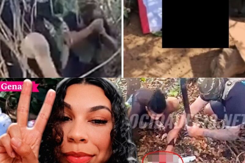 A brutalidade atingiu um nível inimaginável na Bahia quando Sara Cristina, uma jovem mãe, foi vítima de um sequestro que terminou em um cenário de horror absoluto. Criminosos não apenas tiraram sua vida, mas cometeram mutilações cruéis para enviar uma mensagem a facções rivais. O caso revela o domínio insano do crime organizado em Porto Seguro, onde a vida humana parece não valer nada. O que aconteceu com essa jovem é um alerta urgente para a segurança pública em nosso país. Leia a matéria completa nos comentários.