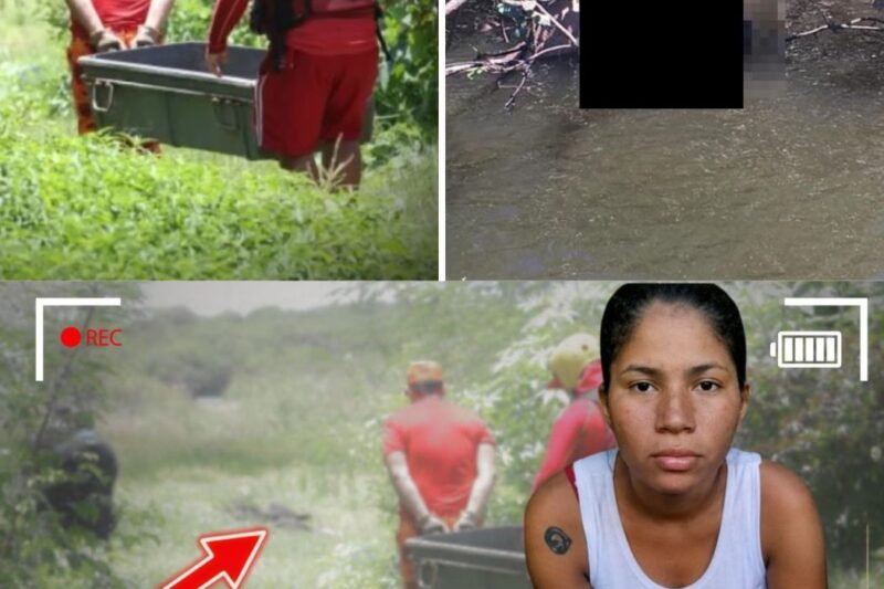 A crueldade atingiu um nível inaceitável em Fortaleza. Três jovens mulheres, Nara Alini, Darcielle Anselmo e Ingrid Teixeira, foram brutalmente executadas após uma ordem fria emitida de dentro de um presídio. O pedido agonizante de uma das vítimas para que a execução fosse rápida revela a face mais sombria da violência que domina as ruas e o medo constante que assombra famílias inteiras. O que aconteceu naqueles minutos finais é um retrato trágico da falência da segurança pública. Descubra todos os detalhes sobre como essa ordem foi executada e o impacto desse crime na sociedade.