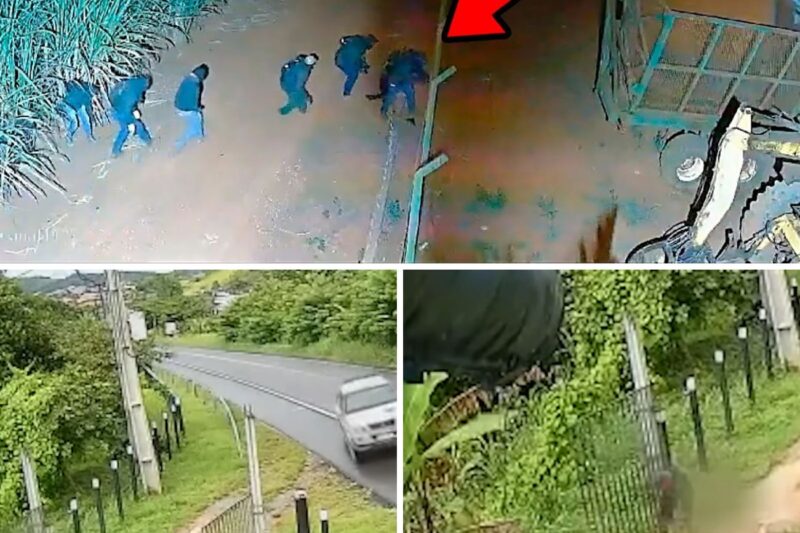 “ESSES RENEGADOS VIERAM ATRÁS DE MIM PARA COBRAR O PASSADO, MAS ENCONTRARAM A RESPOSTA NO CANO DA MINHA ARMA!”: A Trama De Traição Entre Antigos Companheiros De Farda, O Ataque À Esposa Do Veterano E O Desfecho Sangrento No Interior