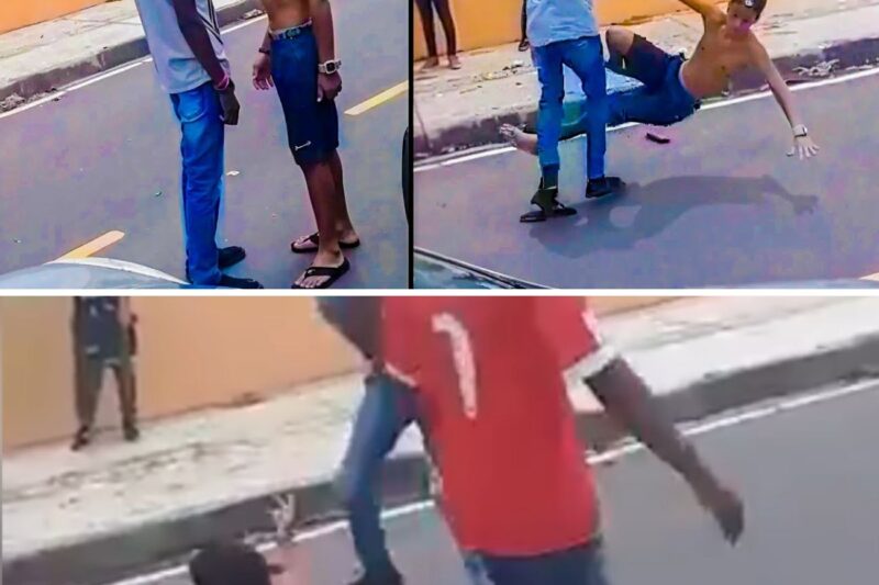 “SAI DAQUI, SEU FILHO DA PUTA! VOCÊ ACHOU QUE MANDAVA EM TODAS NÓS E QUE SÓ PORQUE ESTÁ SEM CAMISA PODERIA NOS SUBJUGAR E AGREDIR NA CALÇADA?”: A Ilusão Machista Do Rei Da Rua, A Intervenção Do Pedestre E As Lágrimas De HumilhaÇÃO Do Valentão Derrubado No Asfalto