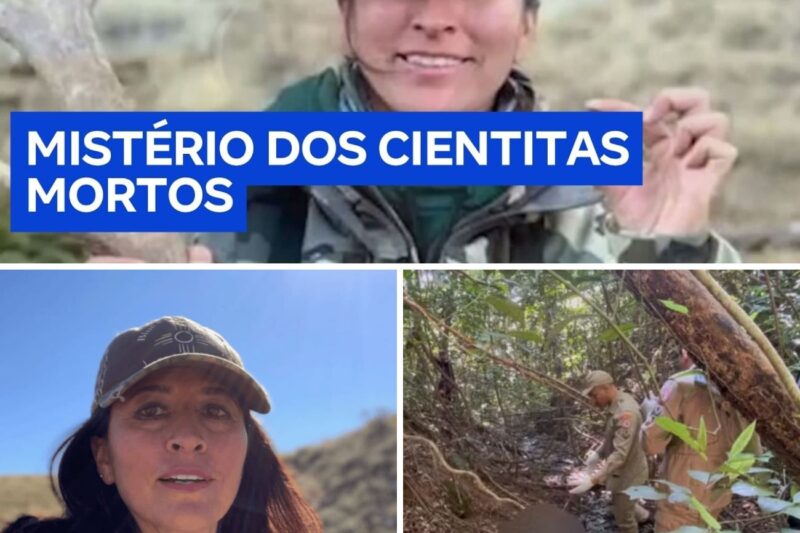 “ELES ACHAVAM QUE ELA ERA UMA VÍTIMA, MAS O COVIL DA ESPIÃ CAIU! O FBI ENCONTROU O CORPO DE MELISSA NA FLORESTA JUNTO COM A ARMA USADA PARA APAGAR OS OUTROS 11 CIENTISTAS!”: O Laudo Balístico Que Chocou O Pentágono, A Limpa Digital De Melissa Cias E A Prova Forense De Que A “Funcionária Inocente” Executou A Elite Nuclear De Los Alamos