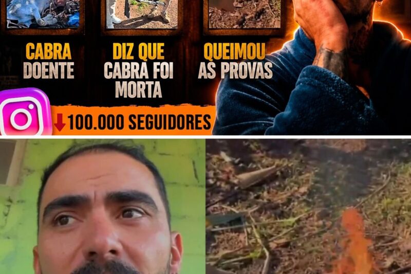 “AGORA JÁ ERA! ACABOU PRA VOCÊ, MAYK LEÃO!”: INFLUENCIADOR ENTRA EM PARANOIA, QUEIMA HD COM GASOLINA APÓS FARSA DE OVNI E ATRAI INVESTIGAÇÃO POLICIAL POR MORTE DE ANIMAL