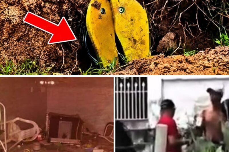 “ELA SÓ IA ENTREGAR O DINHEIRO DA MINHA VIZINHA!” — JOVEM SOME EM TRAJETO DE MINUTOS, VIZINHO PEDREIRO FINGE AJUDAR NOS MUTIRÕES DE BUSCA E CONFESSA TER ENTERRADO A VÍTIMA DEBAIXO DO CONCRETO DA PRÓPRIA CASA EM NATAL
