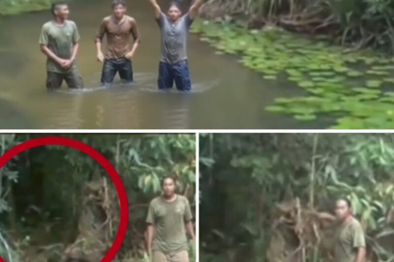 “FOI ALGUMA COISA QUE CAIU DO CÉU, GENTE! NÃO DIMINUI E NEM AUMENTA!”: O Encontro Macabro na Amazônia Que Terminou em Perseguição Insana e no Desaparecimento de um Jovem Após Invasão de Território de Criatura Humanoide Clandestina