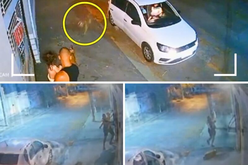 “FALOU QUE IA MORDER A MINHA FILHA, MAS FOI DEITADO NO CHÃO DE PRIMEIRA!”: O Instinto de Proteção de um Pai Policial que Sacou a Arma com uma Criança no Colo e Executou um Cão de Grande Porte em Alta Velocidade na Calçada; O Debate que Dividiu a Internet Entre a Defesa da Família e o Uso de Força Letal em Via Pública