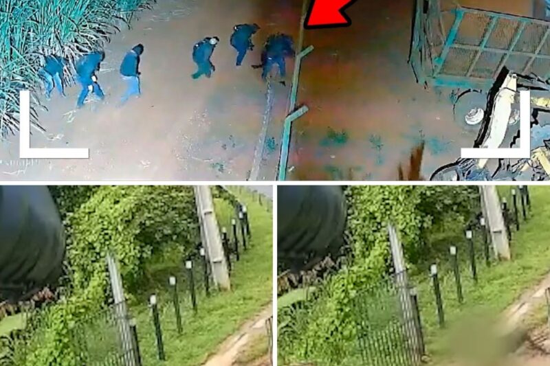 “ESSES DAÍ NUNCA MAIS ABORDAM NINGUÉM A SAIR DE UM SÍTIO, VÃO COMPRAR O QUE ESTÃO À PROCURA!”: Onda de Invasões Rurais Sofre Revés Sangrento após Policial Reagirem a Assaltos no Interior com Tiros de Caçadeira e Amarras em Cercas
