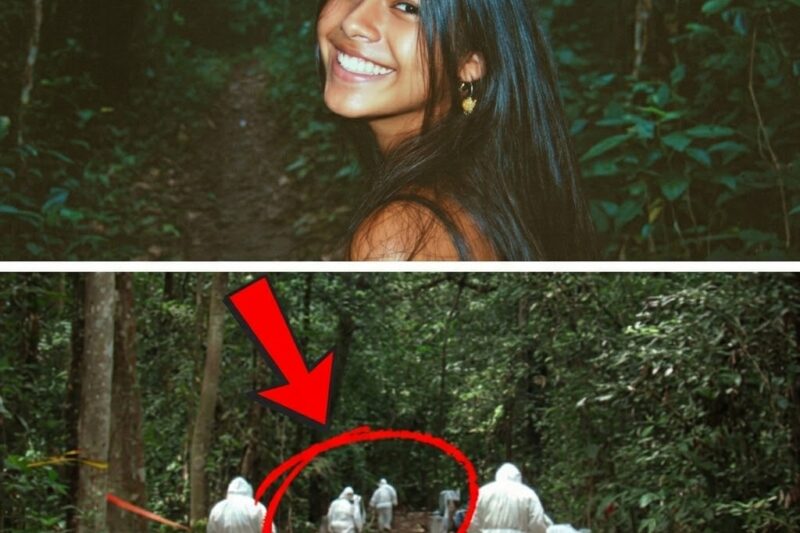 Jovem desapareceu em 2005 em uma trilha – 2 anos depois, um perito encontrou algo que mudou tudo