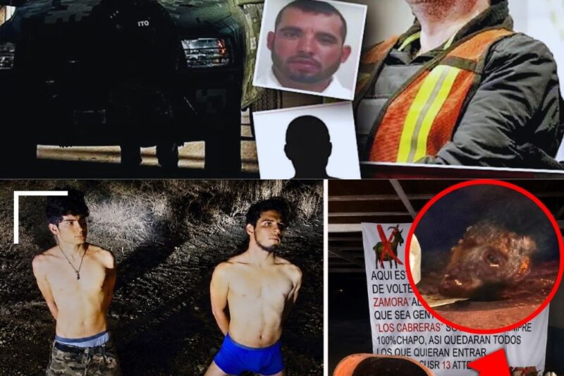 IMPACTANTE: O momento exato em que os sicários do MF foram encurralados e interrogados antes de terem um fim brutal! Imagens que revelam o desespero e a confissão final antes da execução chocante que parou o país. Como eles chegaram a esse ponto e quem deu a ordem final? A trama por trás desse acerto de contas é mais sangrenta do que se imaginava. O vídeo completo e todos os detalhes obscuros desta execução você confere agora no primeiro comentário!