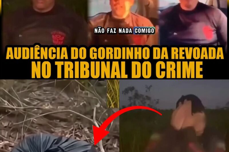 O TRIBUNAL DO CRIME E A ÚLTIMA DEFESA: O CASO “GORDINHO DA REVOADA” E A BUSCA POR JUSTIÇA EM RONDÔNIA