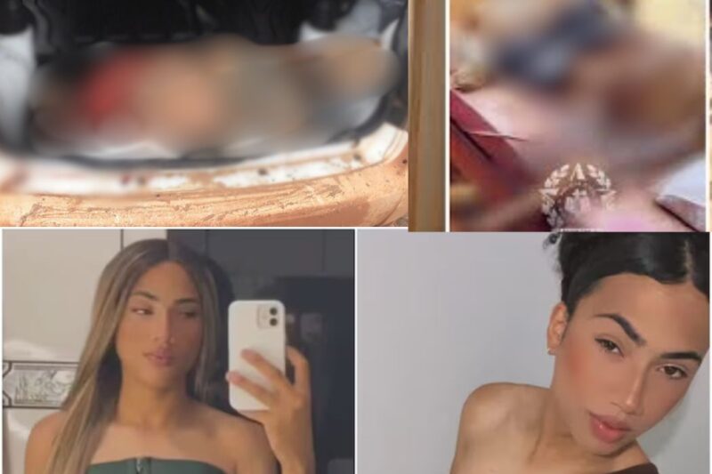 O Perigo Oculto na Prostituição: A Brutalidade contra Mulheres Trans e os Assassinatos de Riana e Wendely