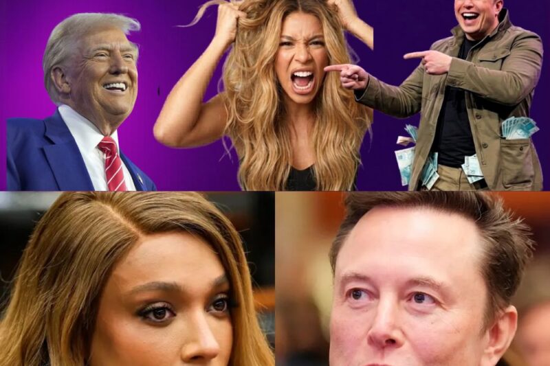 A POLÊMICA DE ERIKA HILTON CONTRA ELON MUSK: QUANDO O DISCURSO IDEOLÓGICO COLIDE COM A REALIDADE ECONÔMICA E GERA REAÇÕES NA INTERNET