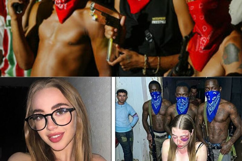 A Sentença de Morte em Tempo Real: Quando a Ostentação Digital e a Fama Colocam Influenciadoras na Mira Brutal do Crime Organizado