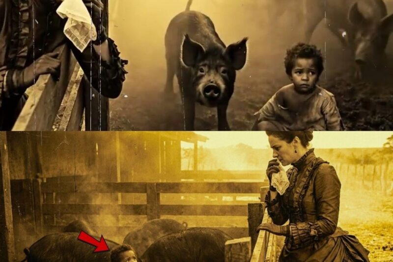 A SINHÁ MANDOU O GÊMEO DA ESCRAVA VIVER NO CHIQUERO! MAS O ADVOGADO O ENCONTROU E A HERANÇA..