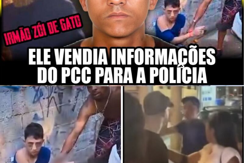 A Lógica Implacável do Tribunal do Crime: A Queda Anunciada de “Zoio de Gato”