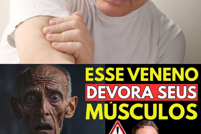 Você sabia que existe um “veneno” silencioso consumindo seus músculos dia após dia? É a sarcopenia, e ela é a principal causa da perda de independência na terceira idade. Muitos idosos estão acelerando esse processo sem saber, por causa de hábitos diários que parecem inofensivos, mas que são fatais para sua força física. É hora de parar essa destruição e proteger sua saúde antes que seja tarde. Quer saber qual é esse perigo oculto e como se salvar? Veja a revelação completa nos comentários!