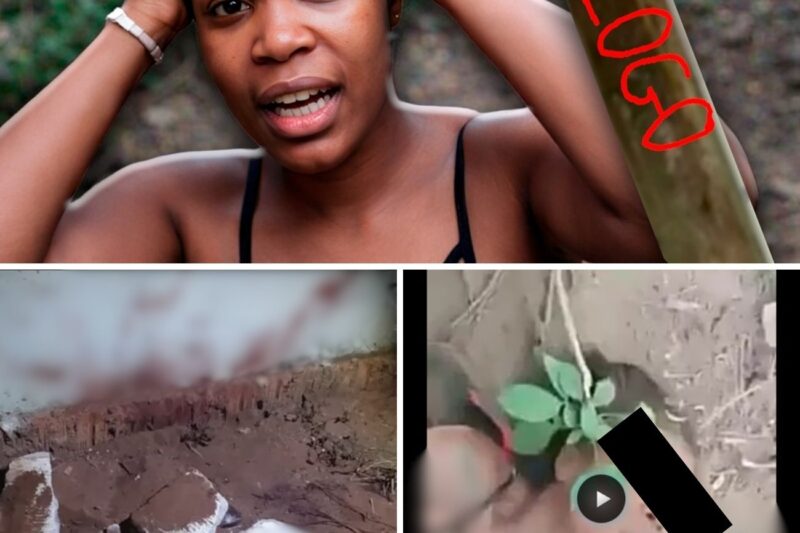 A GRAVAÇÃO DA BRUTALIDADE: O erro fatal dos criminosos de Nova Friburgo que chocou a polícia e selou seus destinos