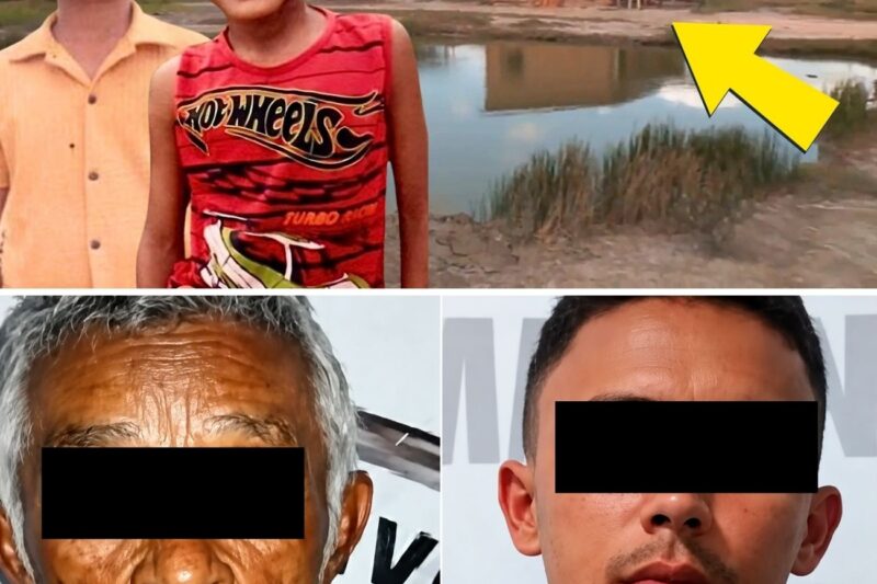 EMBUSCADA SANGRENTA POR CAUSA DE PORCOS: IDOSO DE 78 ANOS LIDERA CHACINA DE CRIANÇAS QUE CHOCOU O MARANHÃO!