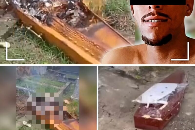 O CUSTO DO TERROR: Quando a Vingança Cruel Invade o Cemitério e uma Simples ‘Live’ Termina em uma Tragédia Devastadora!