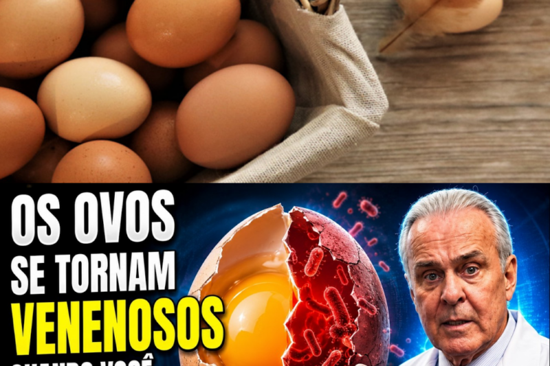 OS OVOS DO SEU CAFÉ DA MANHÃ PODEM ESTAR TE MATANDO SILENCIOSAMENTE: O ALERTA VERMELHO SOBRE O ALIMENTO MAIS COMUM DO BRASIL